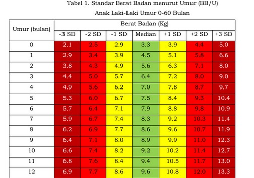 Tabel Standar Berat Badan Menurut Umur