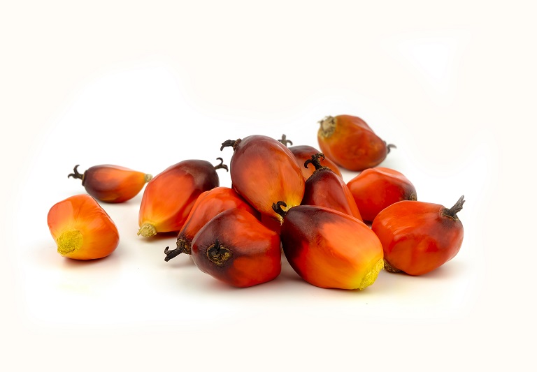 manfaat buah palem
