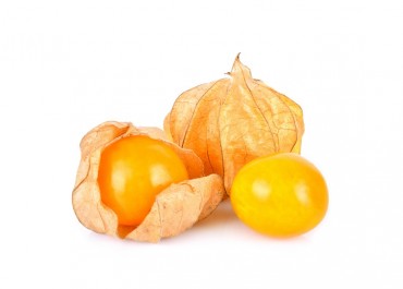 manfaat buah ciplukan untuk kecantikan wajah