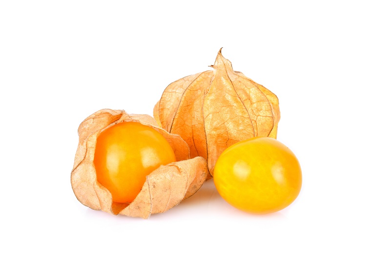 manfaat buah ciplukan untuk kecantikan wajah